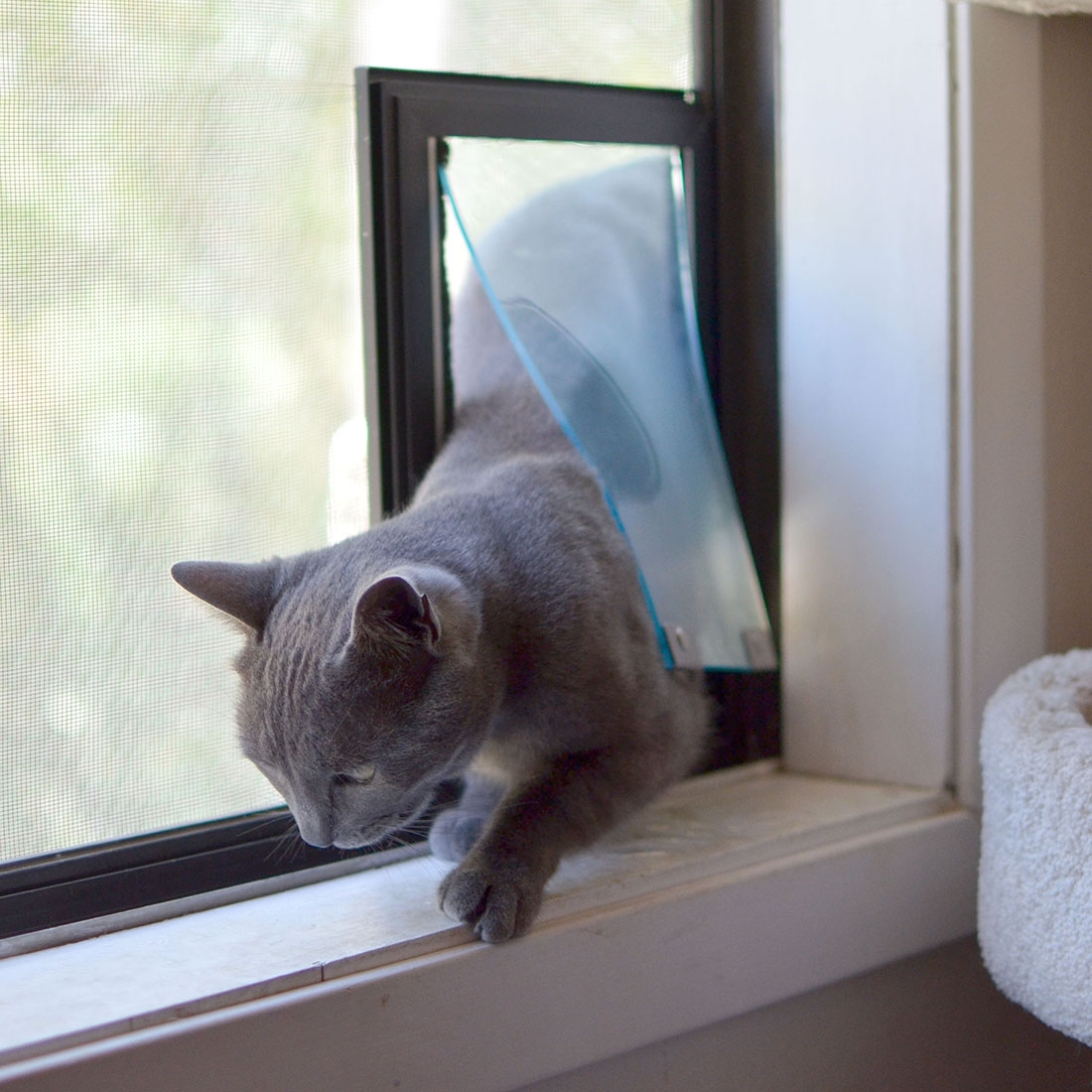 cat door for horizontal sliding window