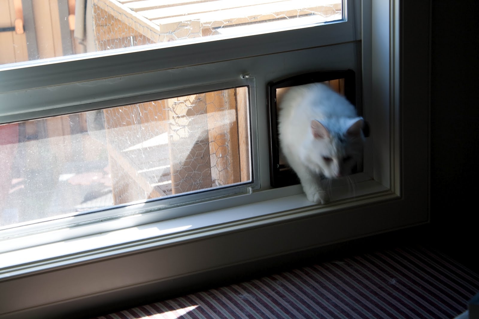 Cat Door Insert For Sliding WindowCat Door Insert For Sliding Window
