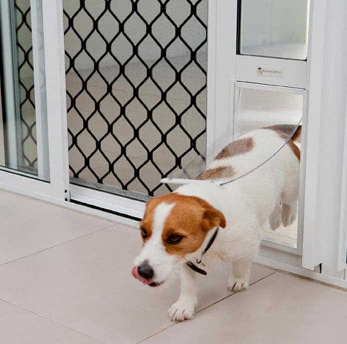 Doggy Door Sliding Door Insert: What to Know Before Purchasing