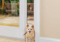 dog door for sliding glass door