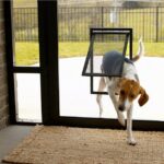 Sliding Door Screens for Dogs: 6 Tips for Preventing Dogs from Damage It