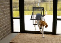 sliding door screens for dogs