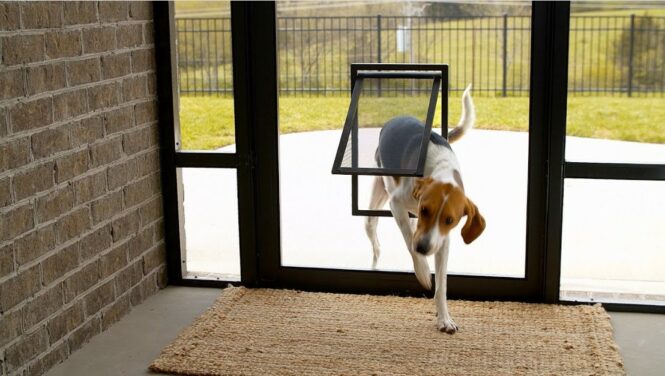 sliding door screens for dogs