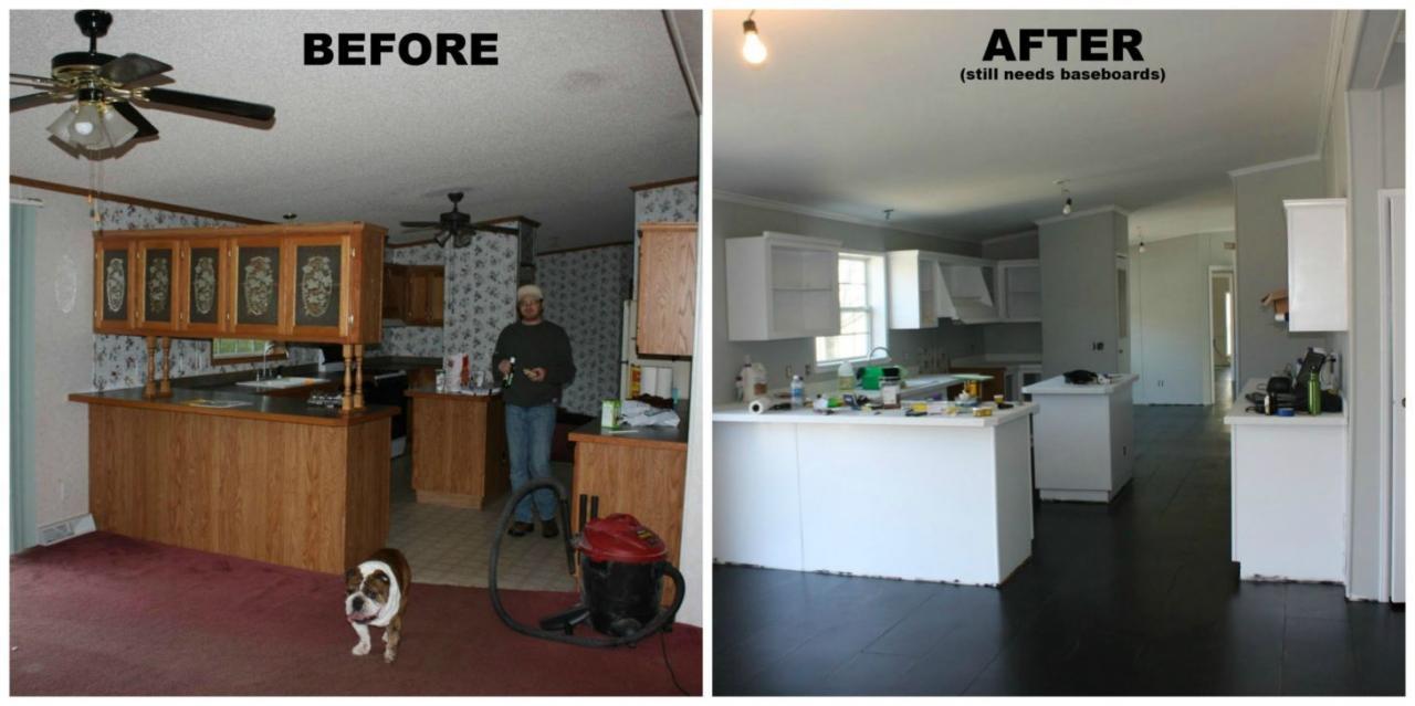 Best 15+ Mobile Home Remodeling Before and After On a Budget