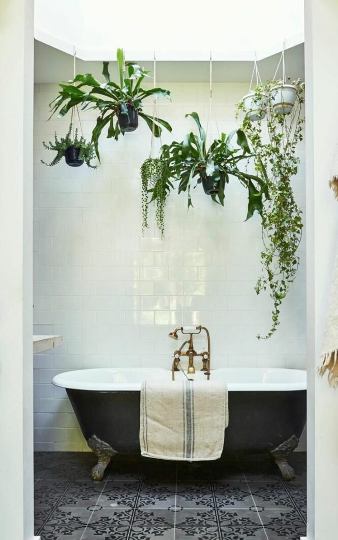 30+ Perfect and Beautiful Hanging Bathroom Plants Decor Ideas