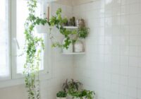 50 Best Bathroom Design Ideas Apartment Therapy