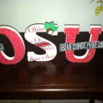 Made these for my Ohio State bathroom! Ohio state decor, How firm thy