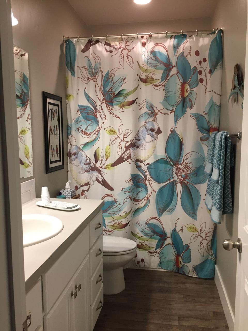 Aqua bird bathroom Bird Bathroom, Bathroom Ideas, Aqua, Curtains