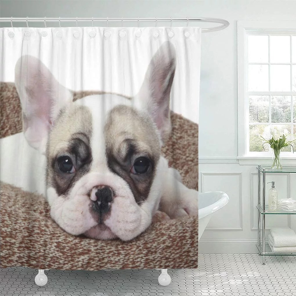 CYNLON Bull French Bulldog Puppy Lying in Dog Domestic Bathroom Decor
