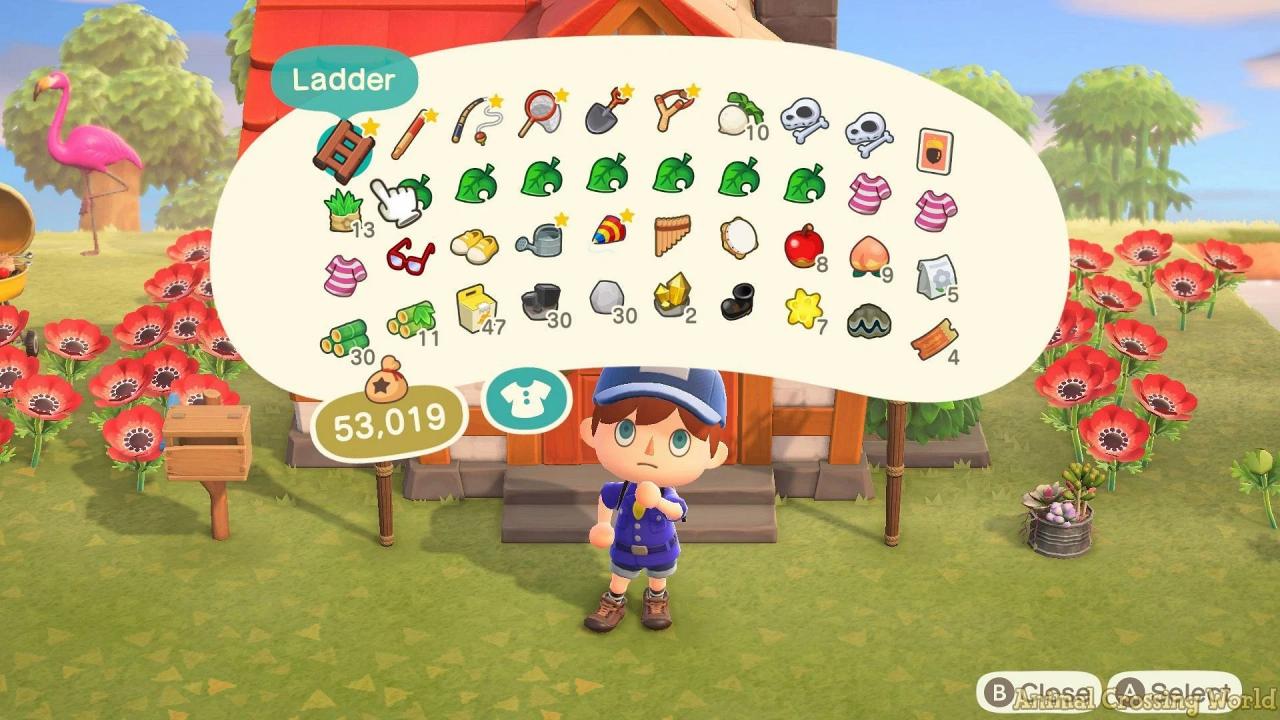 How to increase your Pocket storage in Animal Crossing New Horizons