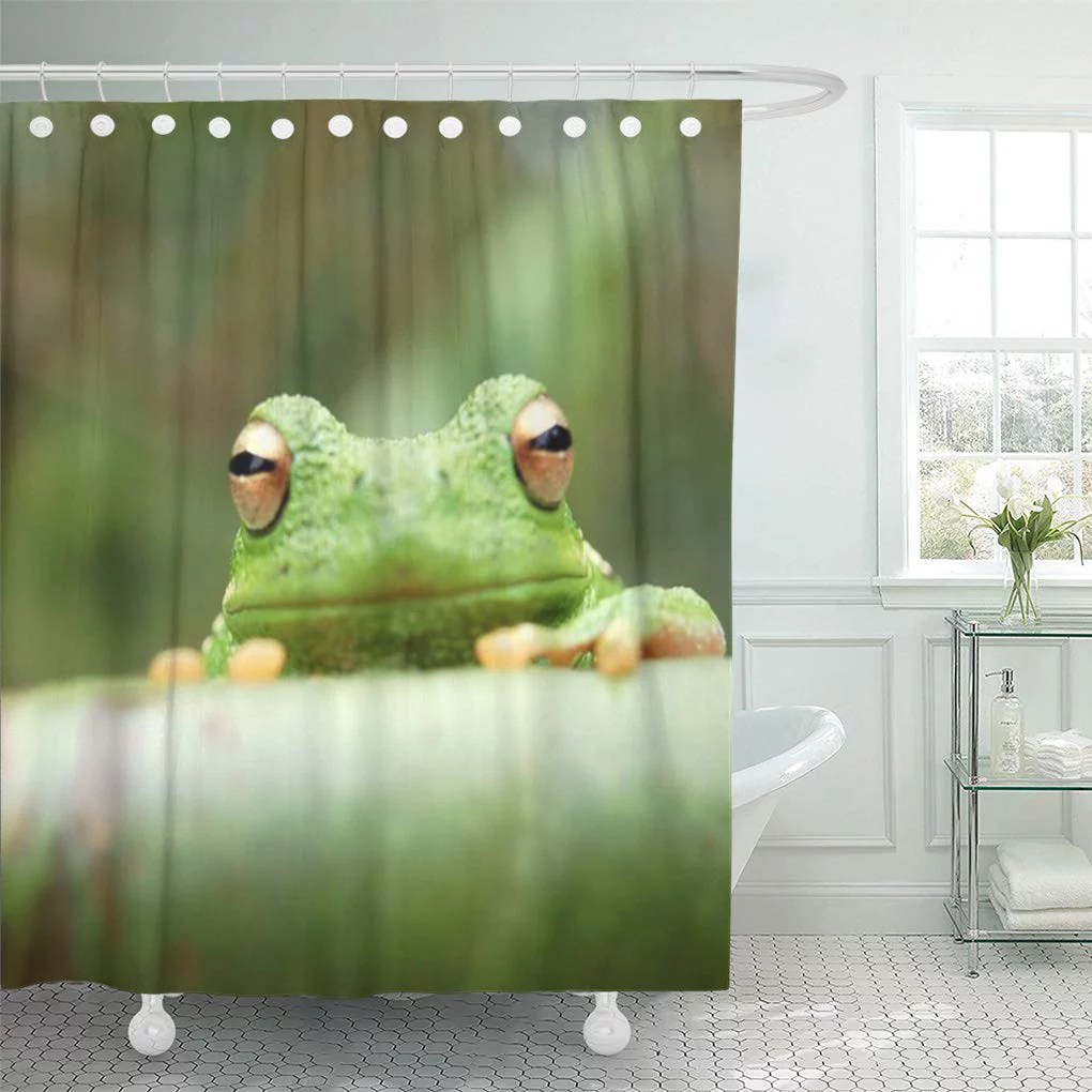 CYNLON Funny Green Tree Frog Impulse Bathroom Decor Bath Shower Curtain