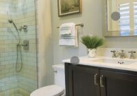 Small Guest Bathroom Decorating Ideas Dream House
