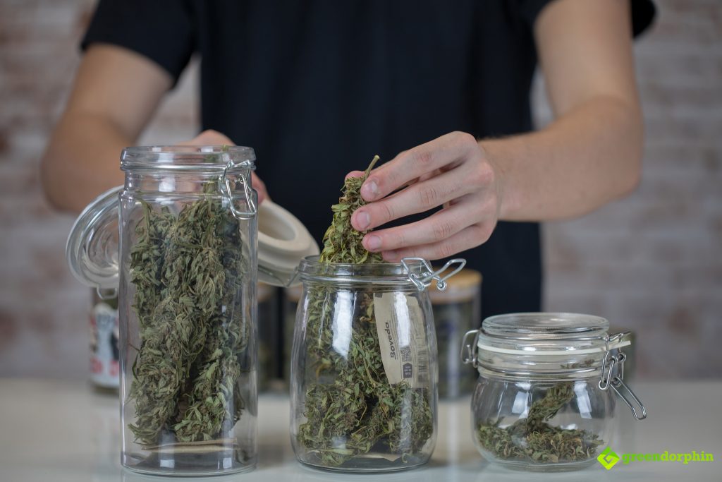 The Top 5 Ways to Store Your Cannabis Best Weed Stash Spots!