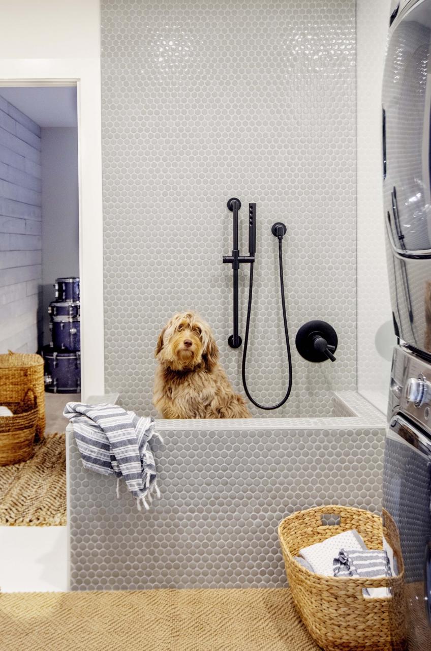 Dog Shower Savoy Collection in 2021 Dog washing station, Dog room