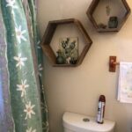 Cactus theme guest bathroom Guest bathroom design, Guest bathroom