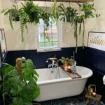 20 Houseplants That Would Love to Live in Your Bathroom in 2020 Coral