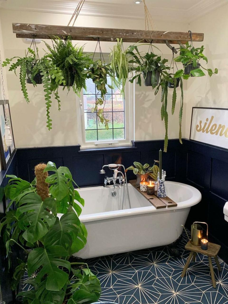 20 Houseplants That Would Love to Live in Your Bathroom in 2020 Coral