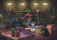 Basement/storage room Room with plants, Interior design animals