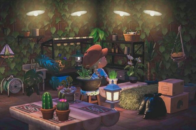 Basement/storage room Room with plants, Interior design animals