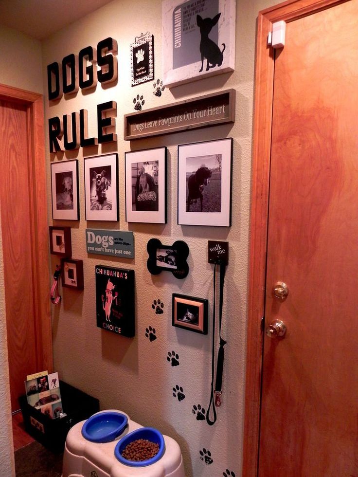 37 Cool Bathroom Ideas For Your Doggies Puppy room, Dog rooms, Animal