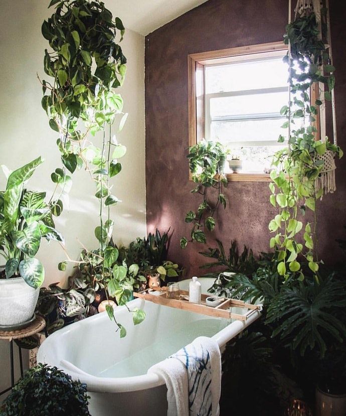 8 Creative Decor Ideas To Steal From Instagram Now Jungle bathroom