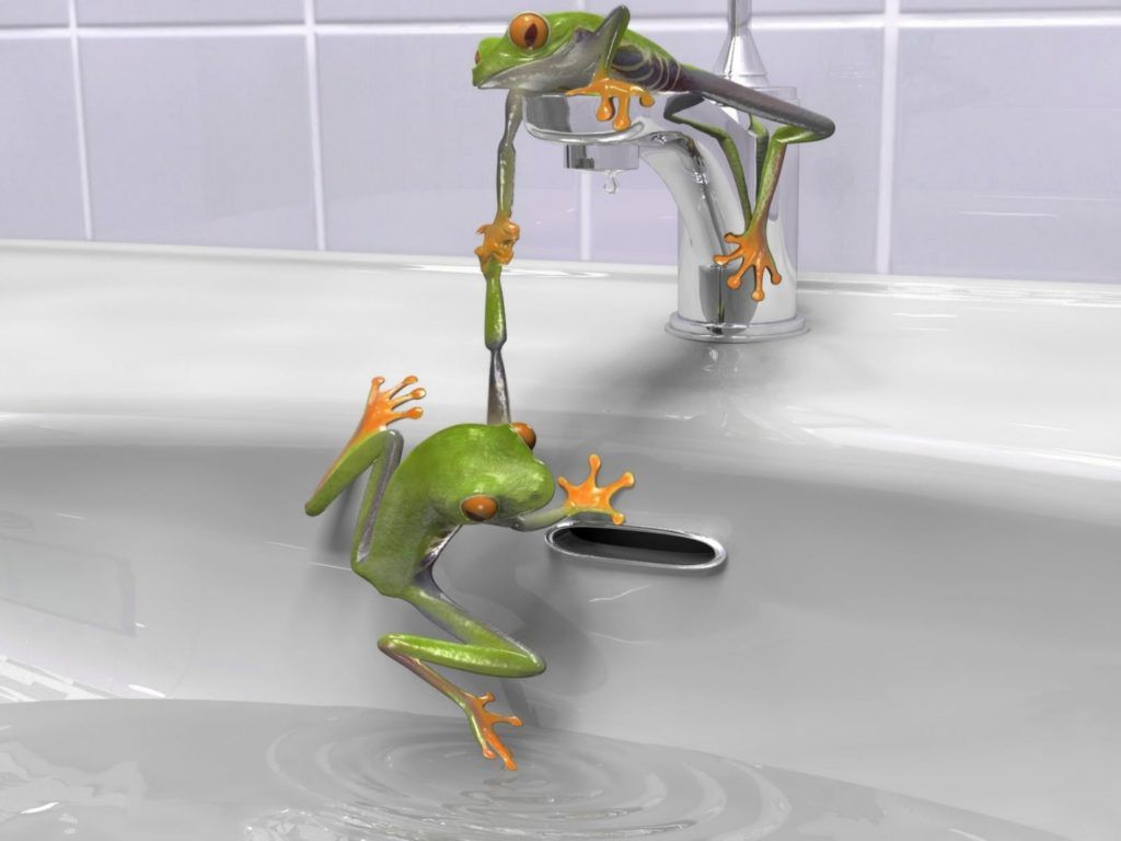 Frog Themed Bathroom Accessories in 2020 Frog, Frog wallpaper, Funny