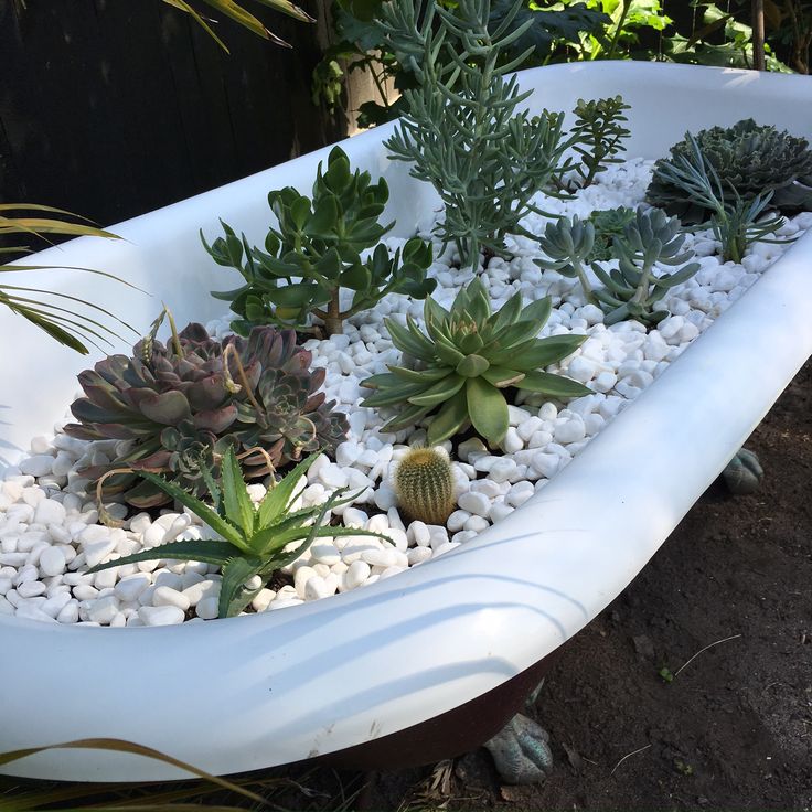 My upcycled bathtub rescued from the tip and planted with succulents