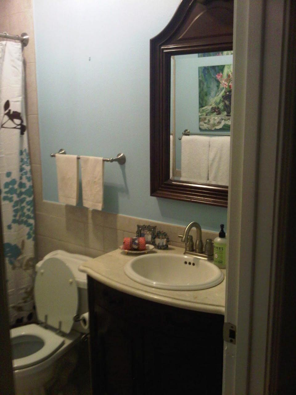 small bathroom no window paint color Google Search (With images