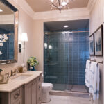 Making the Hall Bathroom Truly Special Remodeling Northern VA
