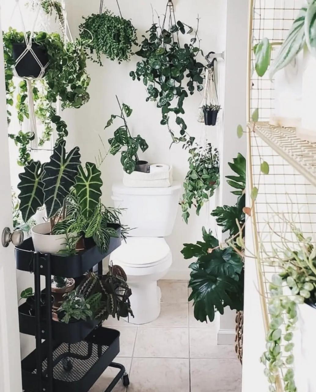 23 Elegant Ways To Decorate The Bathroom With Plants The Wonder Cottage