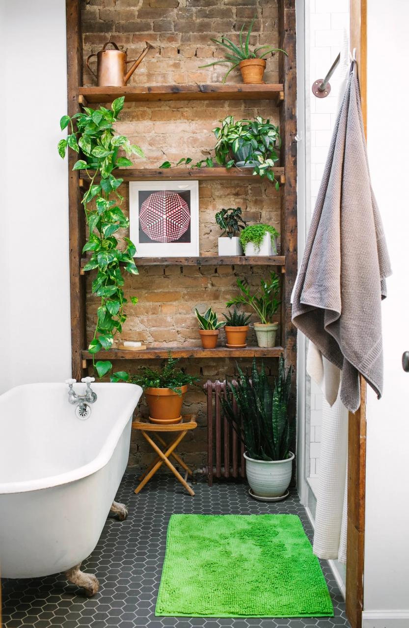 How to Make Bathroom Plants Work with Minimal Space, Low Lighting, and