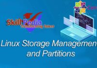Linux Storage Management and Partitions