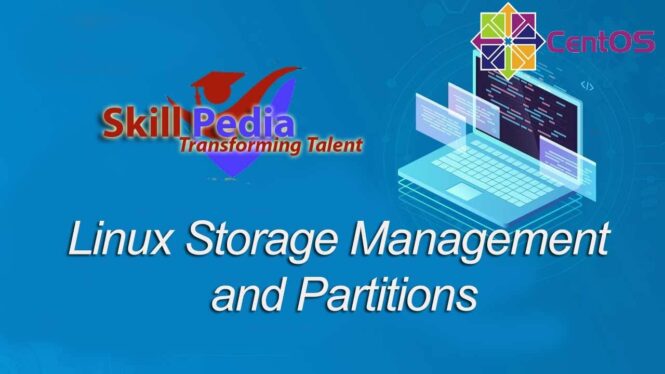 Linux Storage Management and Partitions