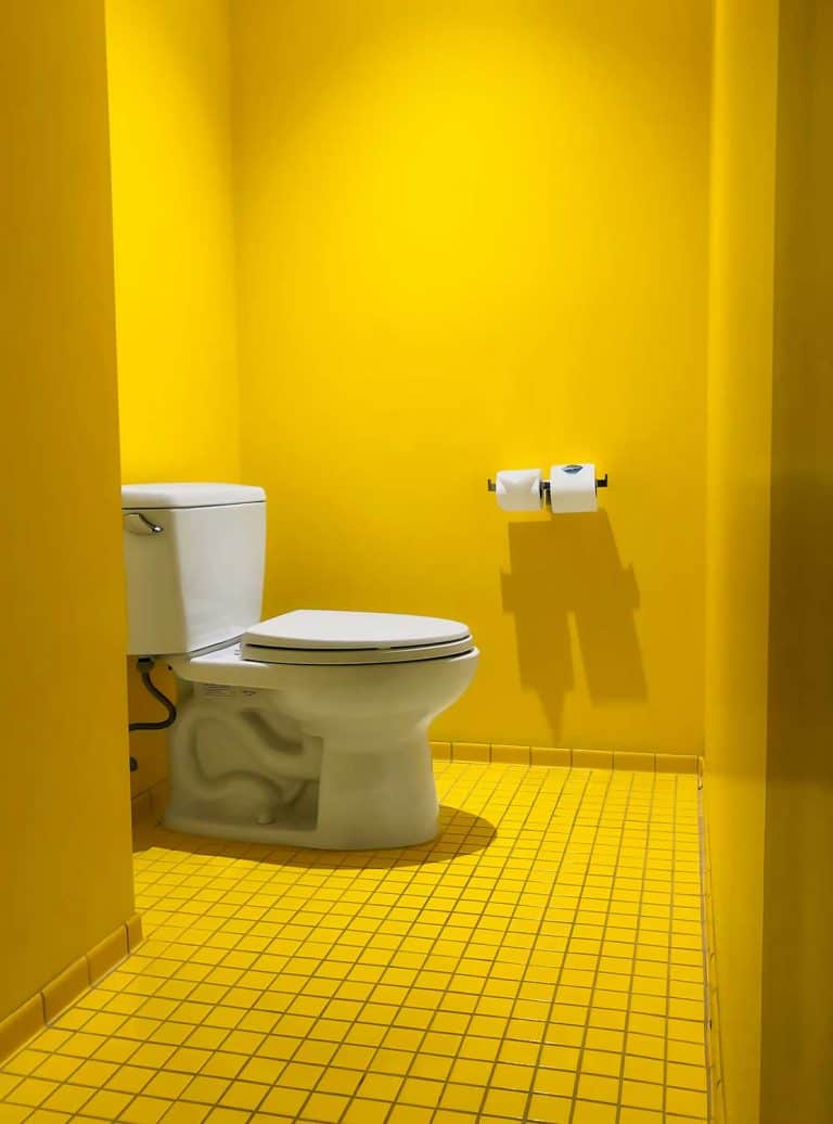 17 Yellow Bathroom Ideas [And How To Implement Them] Home