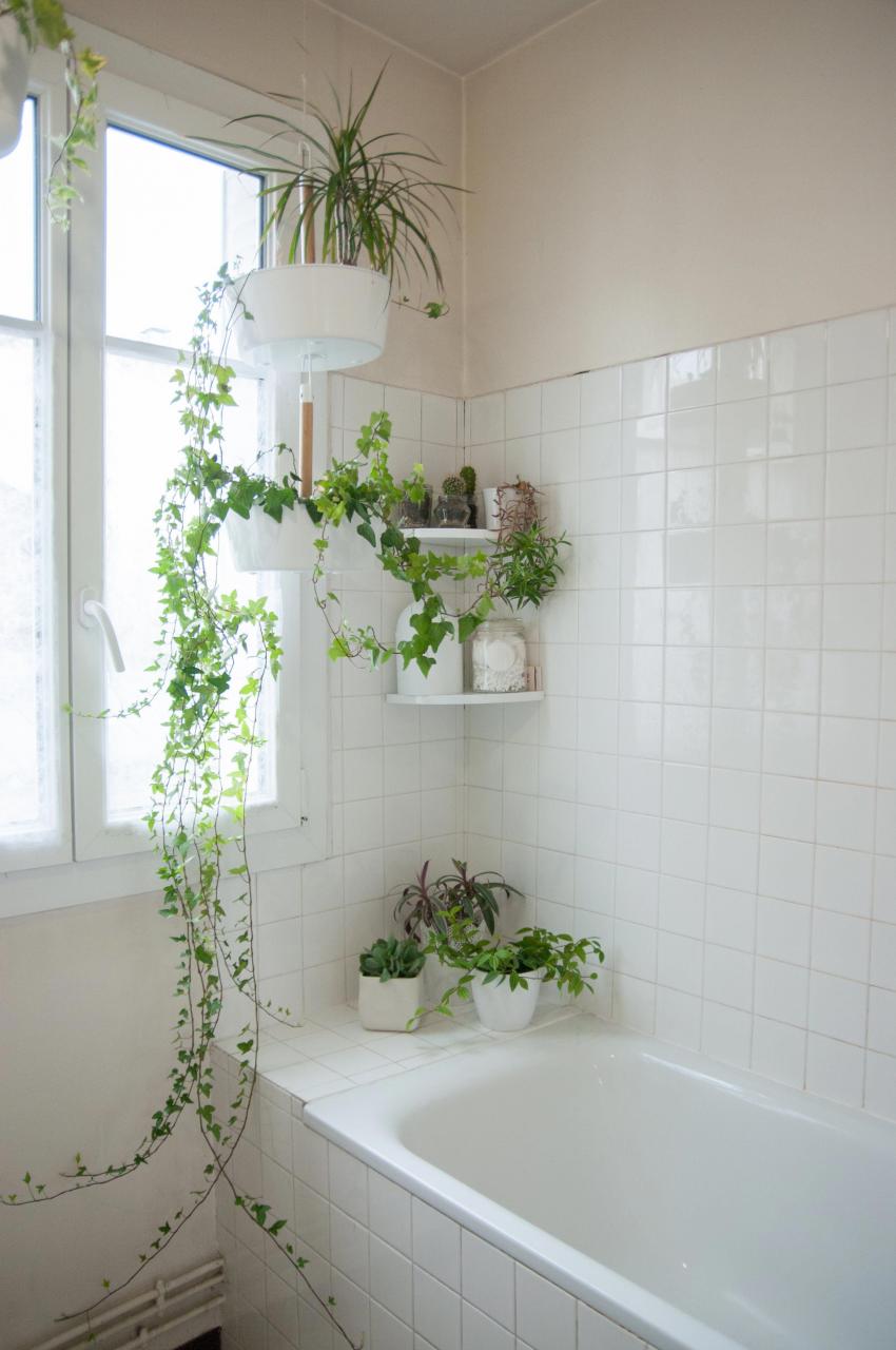 A peaceful and serene bathroom. Bathroom plants, Beautiful bathrooms
