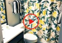 Allover Fruits Shower Curtain Small bathroom decor, Bathroom themes