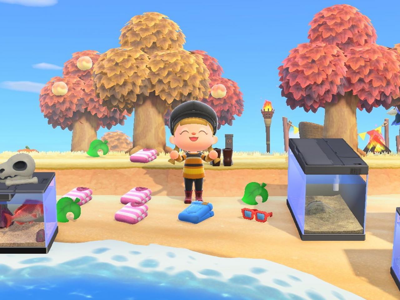 Animal Crossing New Horizons house storage — How to increase your
