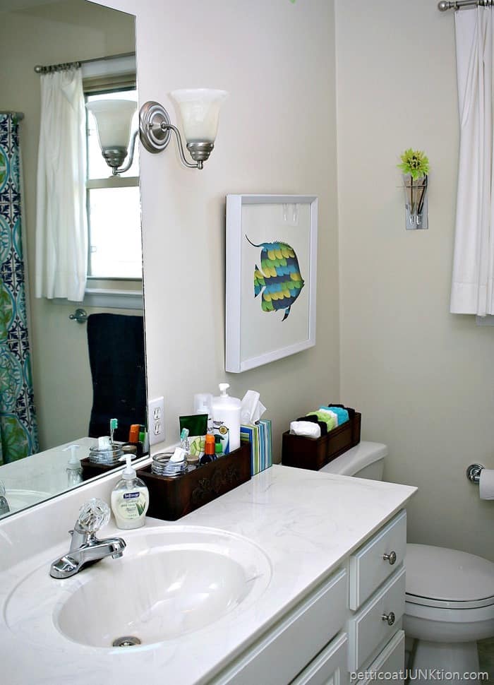 Small Bathroom Decorating On A Budget Petticoat Junktion