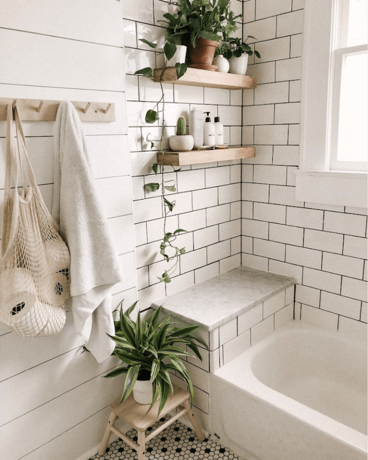 The 10 Best Indoor Plants for Your Bathroom Decoholic
