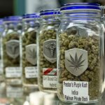 Medical marijuana storage tips Medicine Man Denver