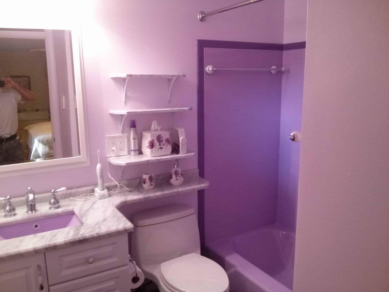 Alexandria VA Budget Bathroom Renovation Ideas Solutions