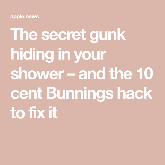 The secret gunk hiding in your shower and the 10 cent Bunnings hack