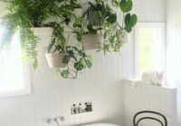Do you know about the trend for bathroom plants? This ‘quick fix’ for