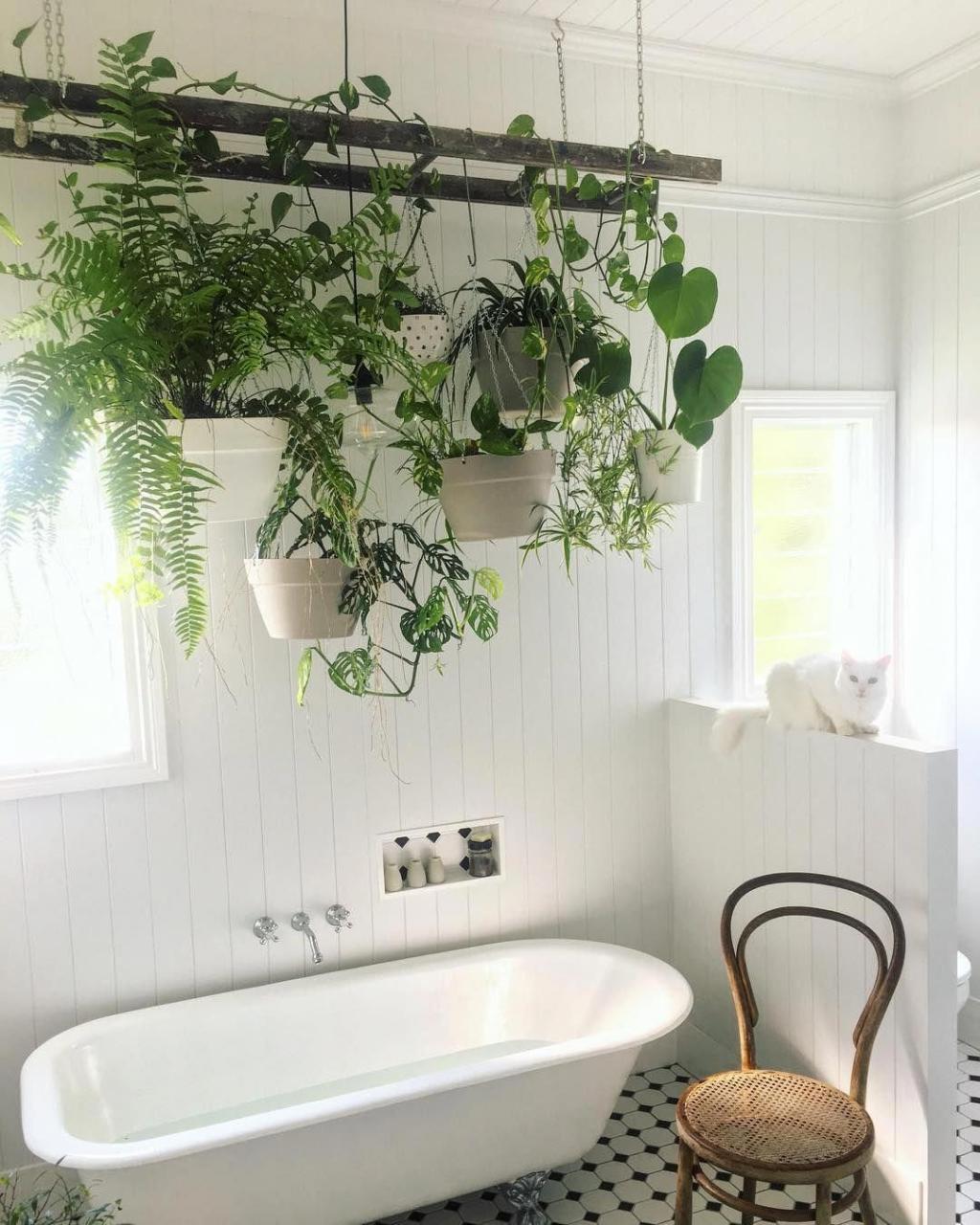 Do you know about the trend for bathroom plants? This ‘quick fix’ for