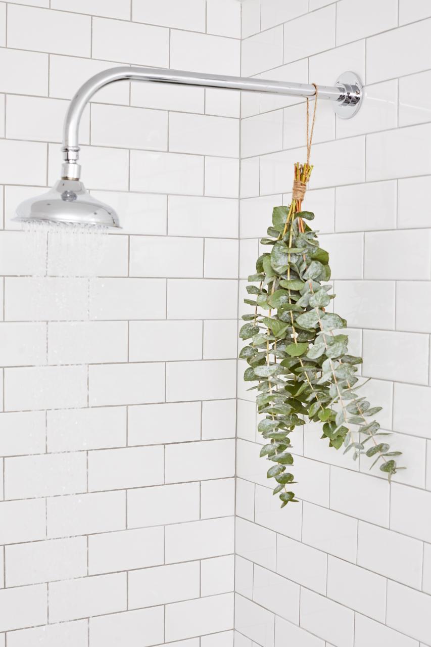 Life Hack Put a Bunch of Eucalyptus In Your Shower bathroomplants