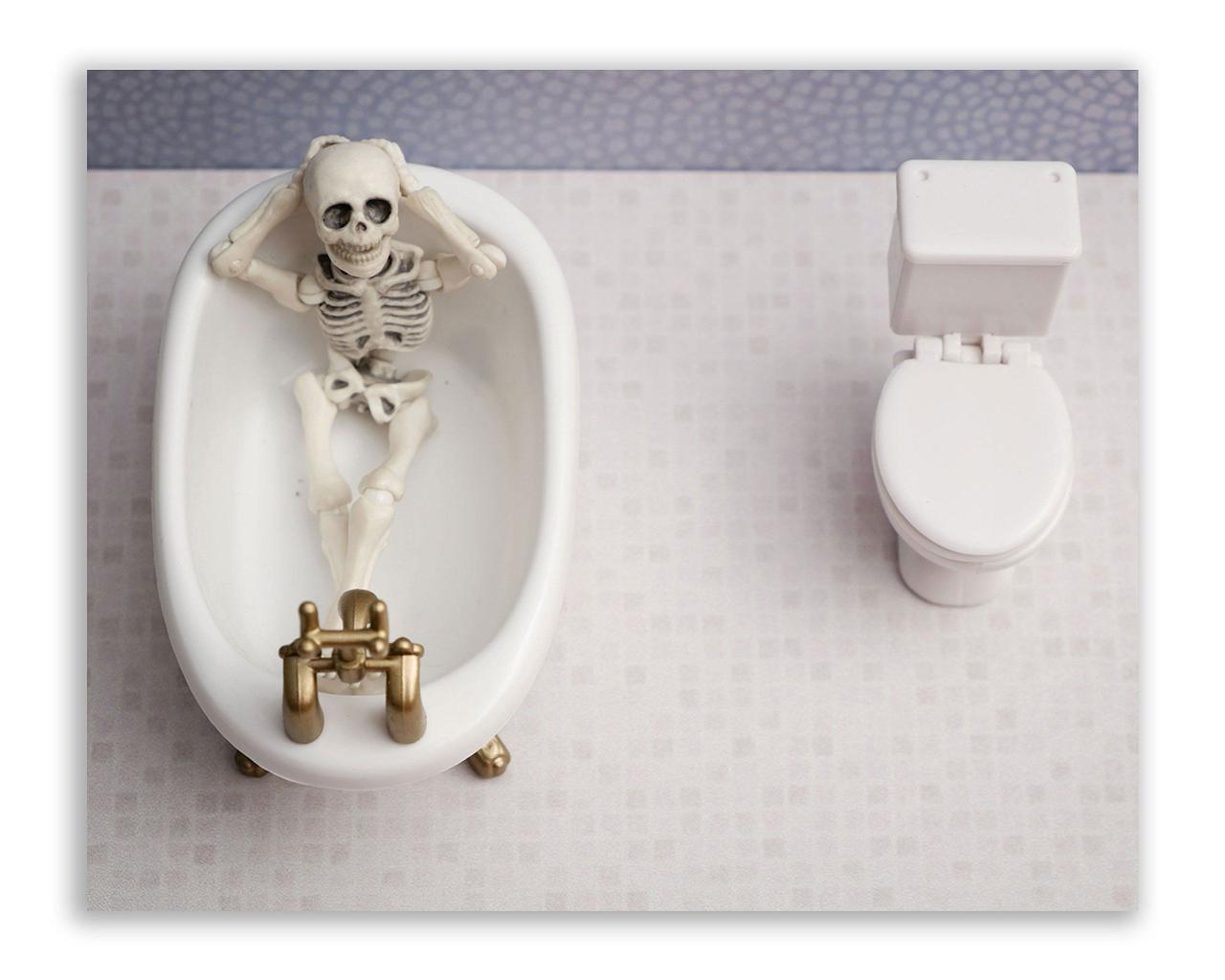 Skeleton Bathroom Prints Funny Hipster Skull and Bones Wall Art Decor