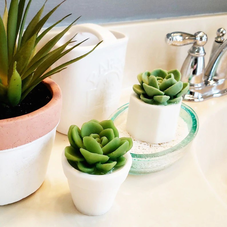 Bathroom Decor / Succulent Soap / Farmhouse Bathroom / Etsy