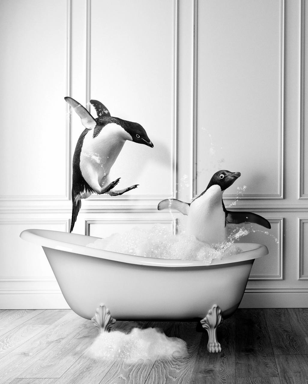 Adorable Penguins in Tub Printable Wall Art Penguin Photo Etsy New