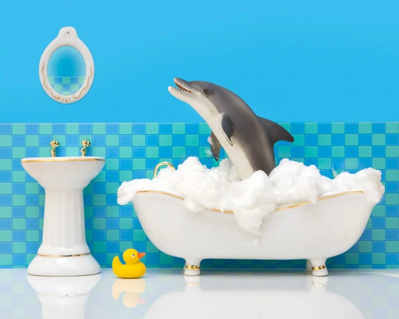 bathroom decor dolphin art kids bathroom decor by WildLifePrints