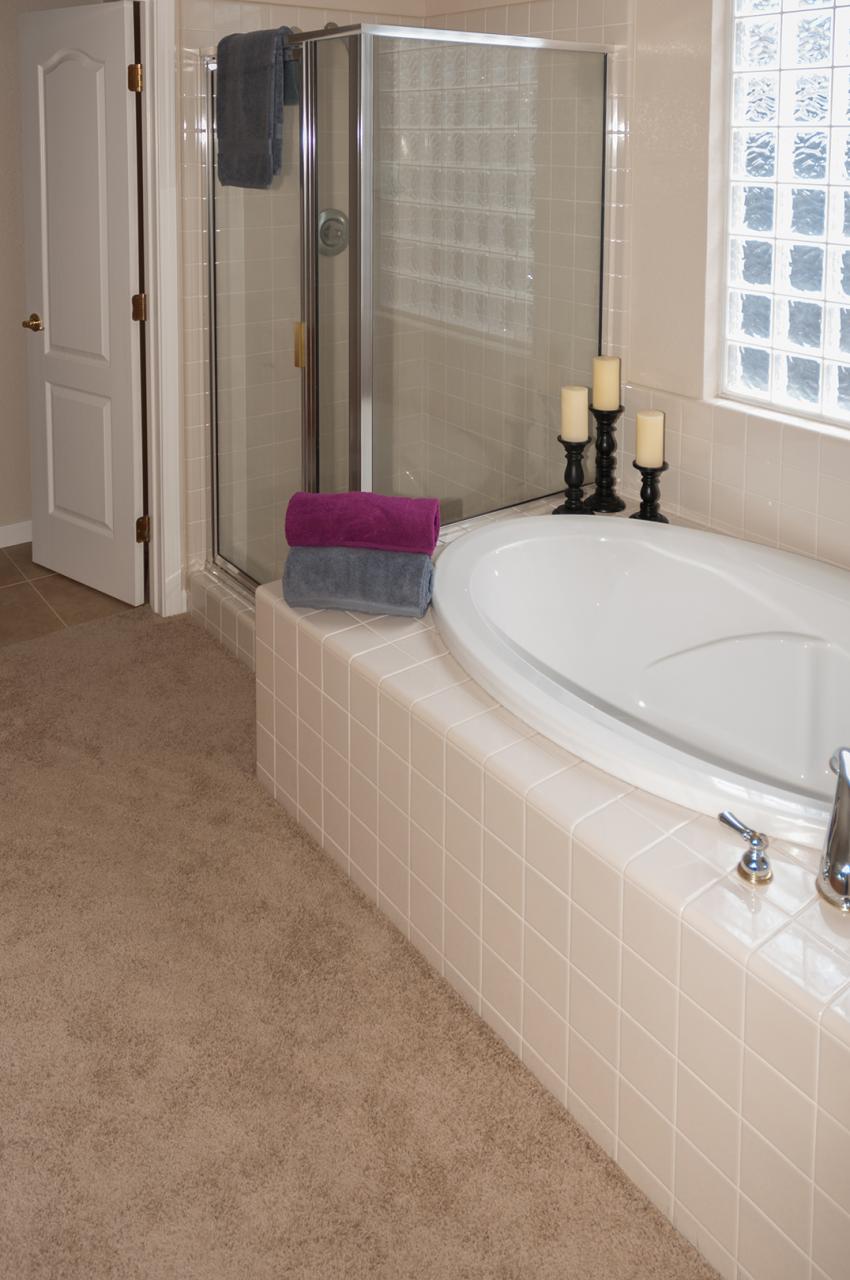 master bath tub and shower Placer Living